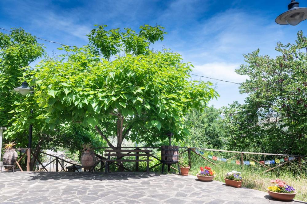 Antico Casale - Camere Con Angolo Cottura Agropoli Exteriör bild