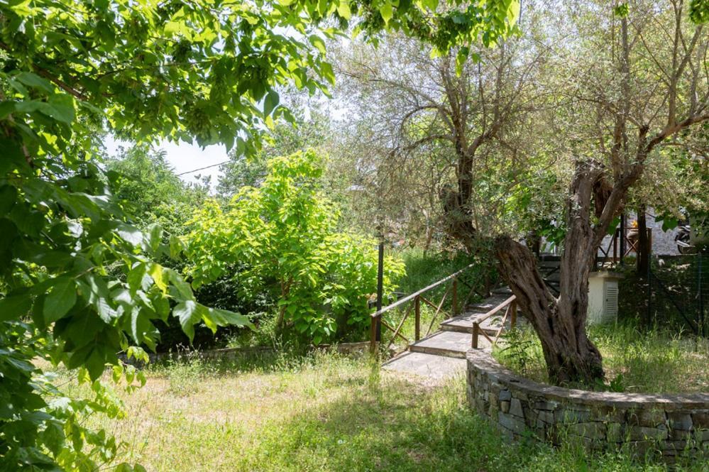 Antico Casale - Camere Con Angolo Cottura Agropoli Exteriör bild